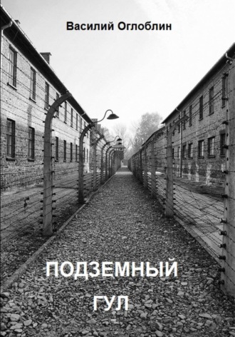 Обложка книги «Подземный гул. Роман в новеллах»