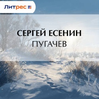 Обложка книги «Пугачев»