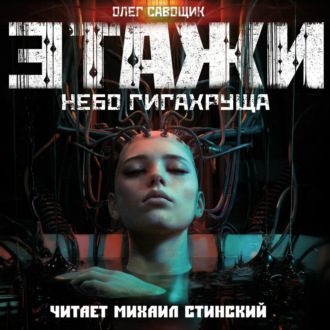 Обложка книги «Этажи. Небо Гигахруща»