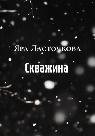 Обложка книги «Скважина»