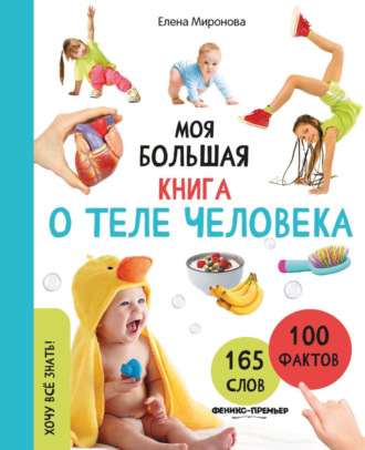 Обложка книги «Моя большая книга о теле человека»