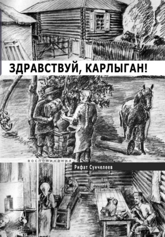 Обложка книги «Здравствуй, Карлыган!»