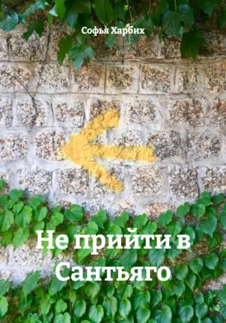 Обложка книги «Не прийти в Сантьяго»