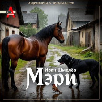 Обложка книги «Мэри»