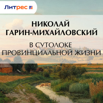 Обложка книги «В сутолоке провинциальной жизни»