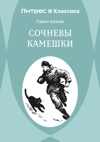 Обложка книги «Сочневы камешки»