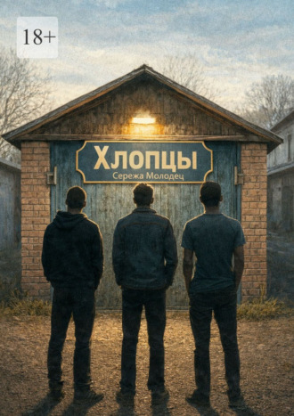 Обложка книги «Хлопцы»