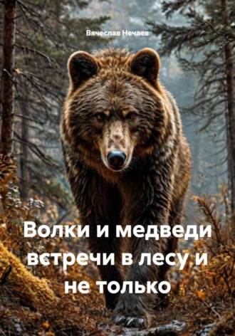 Обложка книги «Волки и медведи встречи в лесу и не только»