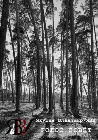 Обложка книги «ГОЛОС ЗОВЁТ»