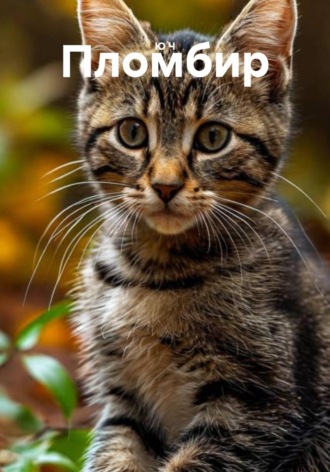 Ю Ч. Пломбир