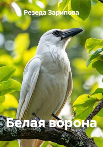 Обложка книги «Белая ворона»