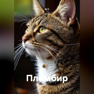 Обложка книги «Пломбир»