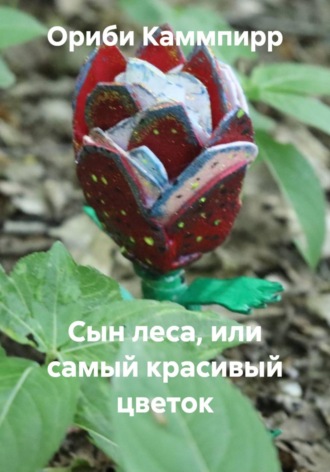 Обложка книги «Сын леса, или самый красивый цветок»