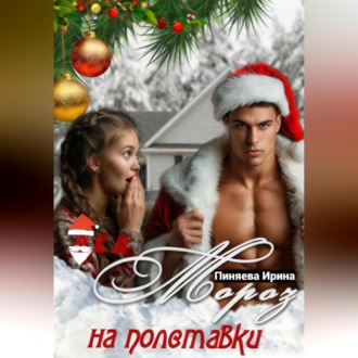 Обложка книги «Дед Мороз на полставки»