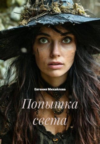 Евгения Михайлова. Попытка света