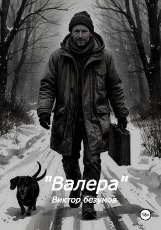 Обложка книги «Валера»