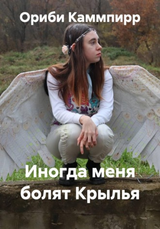 Обложка книги «Иногда меня болят Крылья»