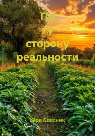 Обложка книги «По ту сторону реальности»
