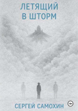 Обложка книги «Летящий в шторм»