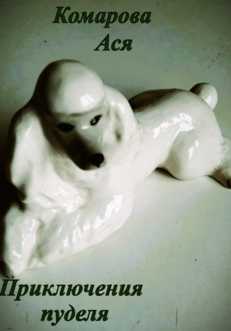 Ася Комарова. Приключения пуделя