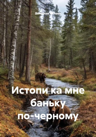 Обложка книги «Истопи ка мне баньку по-черному»