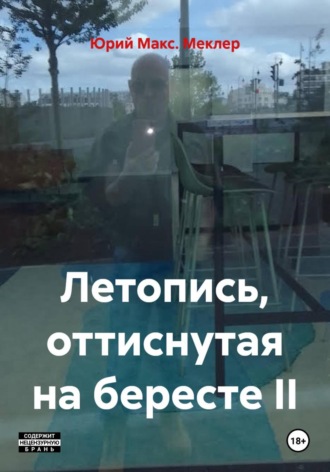 Обложка книги «Летопись, оттиснутая на бересте II»