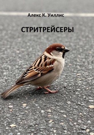 Обложка книги «Стритрейсеры»