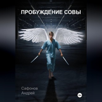 Обложка книги «Пробуждение совы»