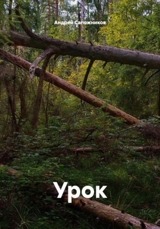 Обложка книги «Урок»