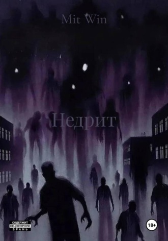 Обложка книги «Недрит»