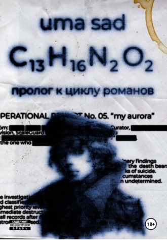 Обложка книги «С13H16N2O2»