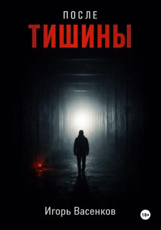 Обложка книги «После тишины»