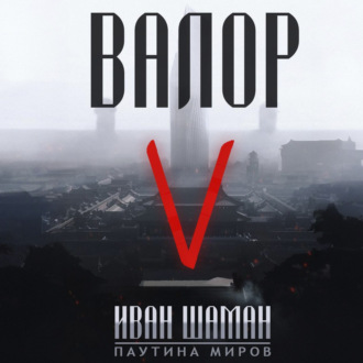 Обложка книги «Валор 5»