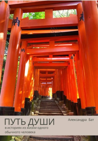 Александра Бат. ПУТЬ ДУШИ в историях из жизни одного обычного человека