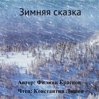 Обложка книги «Зимняя сказка»