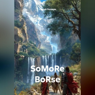 Обложка книги «SoMoRe BoRse»