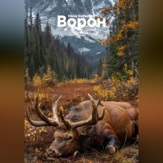 Обложка книги «ВОРОН»