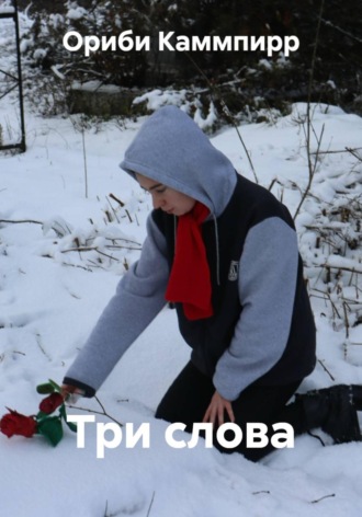 Обложка книги «Три слова»