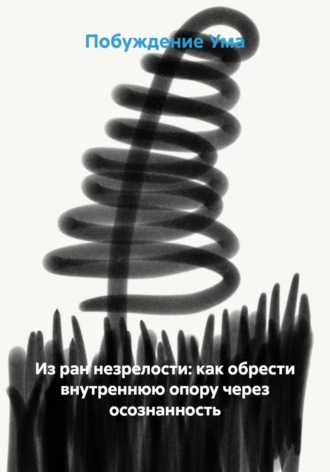 Обложка книги «Из ран незрелости - как обрести внутреннюю опору через осознанность»