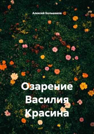 Обложка книги «Озарение Василия Красина»