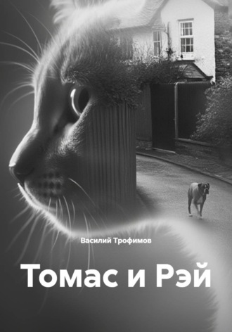Обложка книги «Томас и Рэй»
