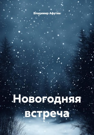Обложка книги «Новогодняя встреча»