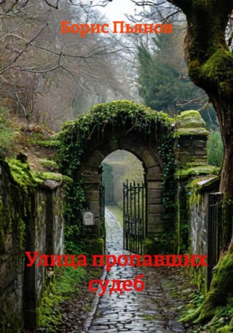 Обложка книги «Улица пропавших судеб»