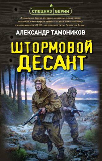 Обложка книги «Штормовой десант»