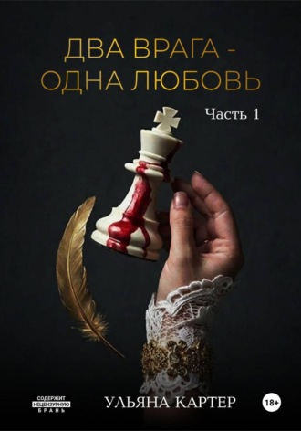 Обложка книги «Два врага - одна любовь»