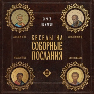 Обложка книги «Беседы на Соборные послания»