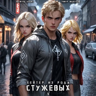 Обложка книги «Хейтер из рода Стужевых – 3»