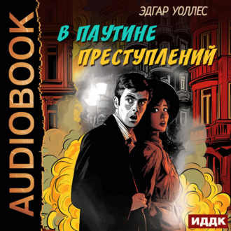 Обложка книги «В паутине преступлений»