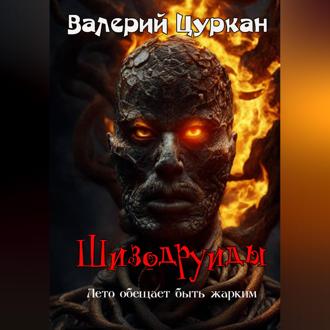 Обложка книги «Шизодруиды»