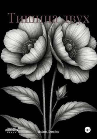 Обложка книги «Тишина двух»